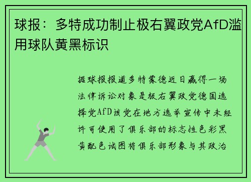球报：多特成功制止极右翼政党AfD滥用球队黄黑标识